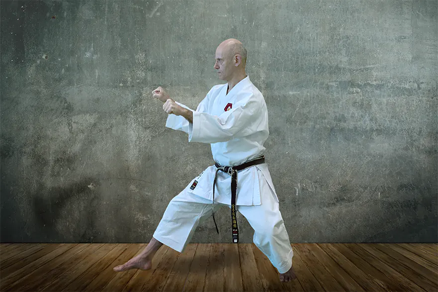 Karate-Dō Shōtōkan-Ryū